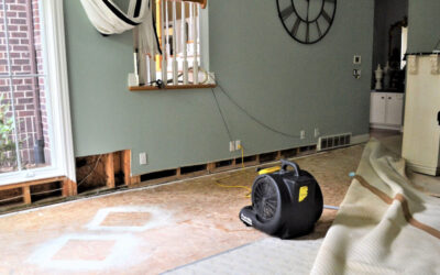 Wesmor Inc. | Water Damage Restoration in Mesa AZ | Mitigation Wesmor Inc. | Water Damage Restoration in Mesa AZ | Mitigation